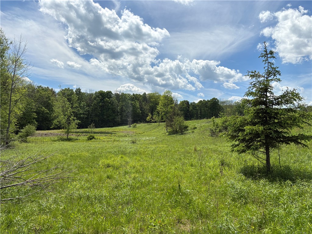 46 County Road Norwich, NY 13815 - Photo 8 of 27