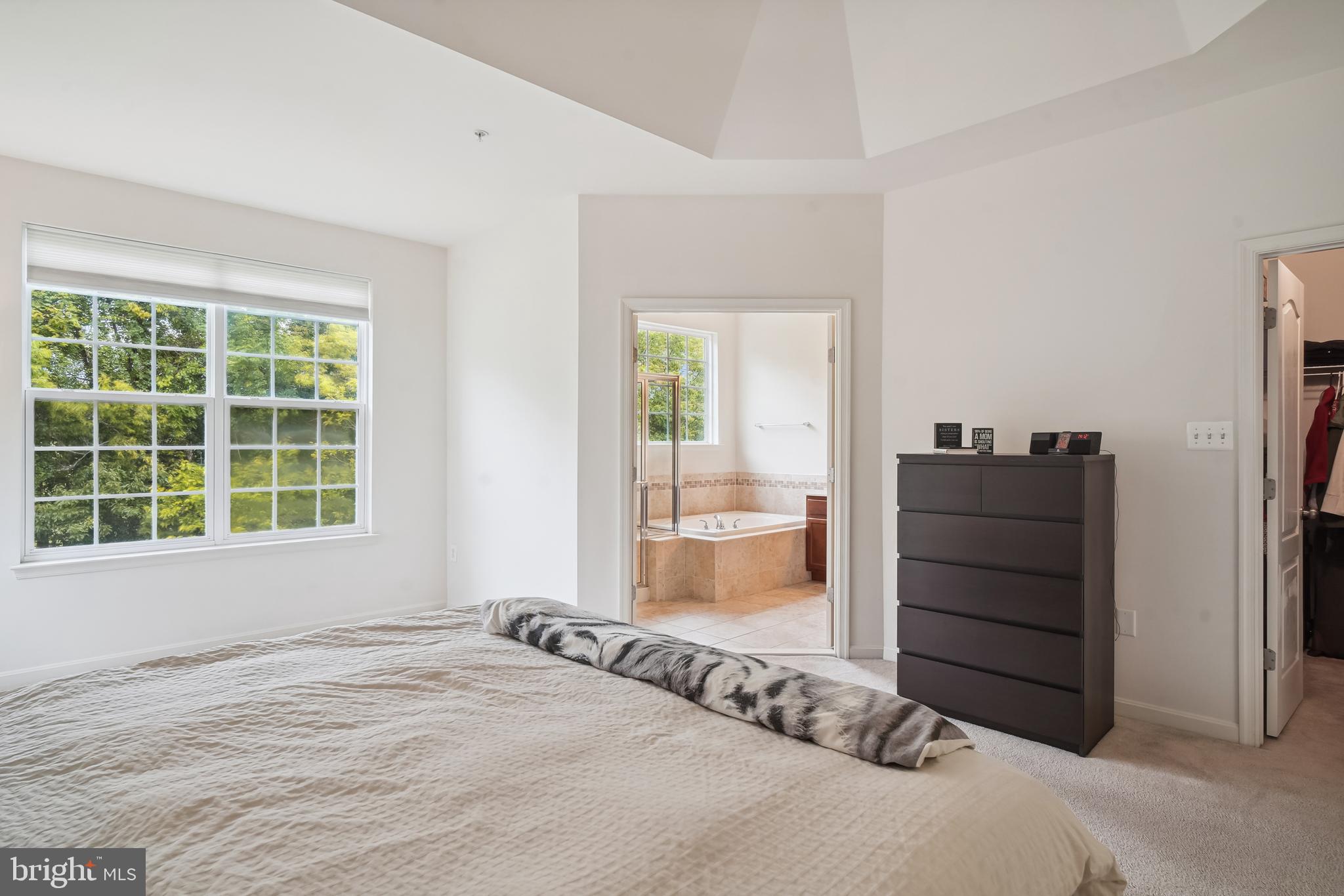 5044 Wesley Square Frederick, MD 21703 - Photo 17 of 46 Master Bedroom with Trey Ceiling