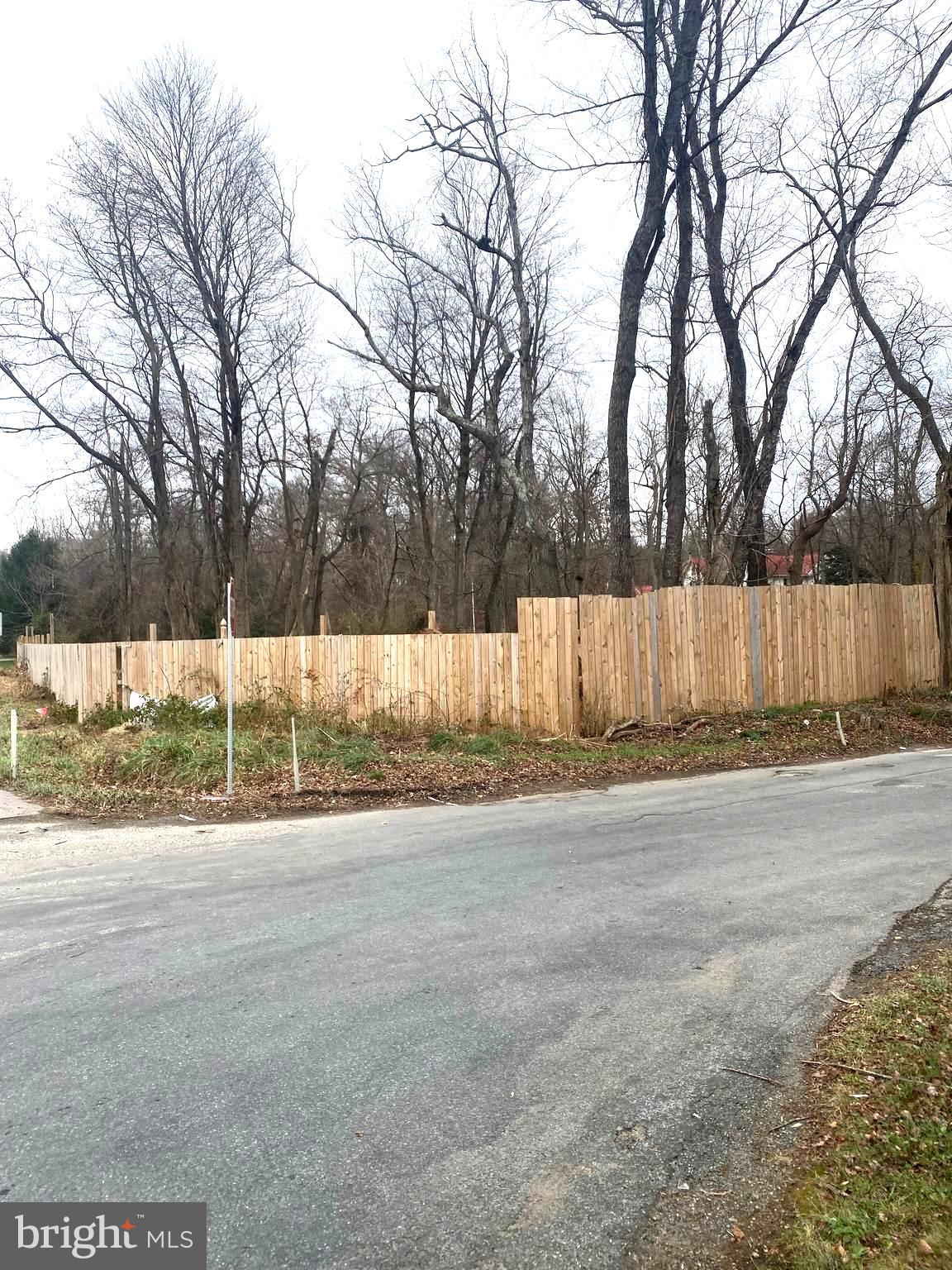 3738 Damascus Road Brookeville, MD 20833 - Photo 12 of 13 a view of yard and tree