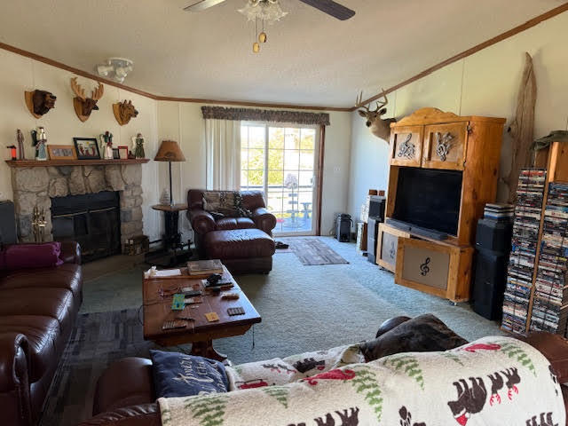 601 South Bossett Road Ravenna, MI 49451 - Photo 11 of 22 Liv 3