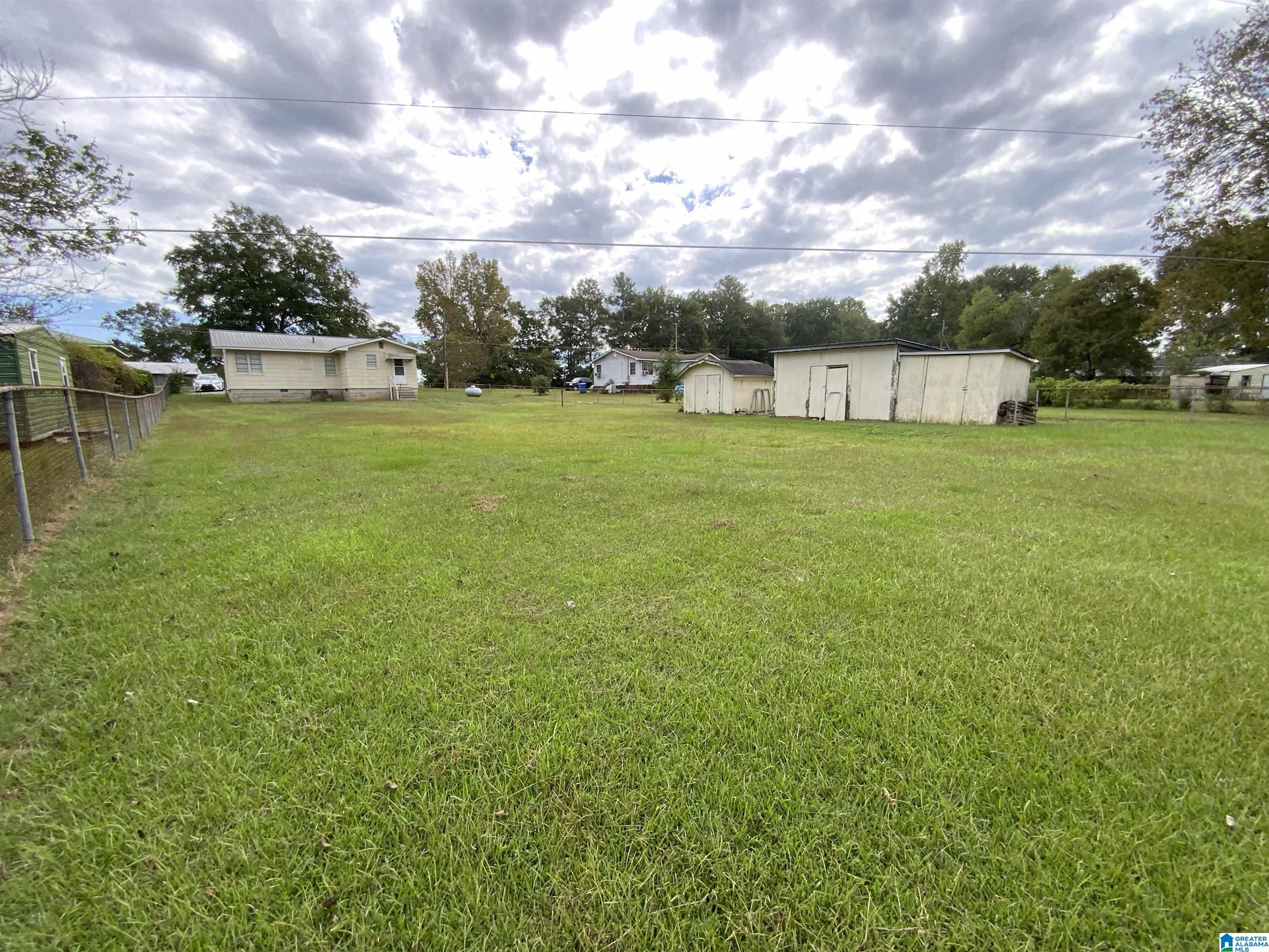 1733 Steinburg Road Piedmont, AL 36272 - Photo 40 of 42