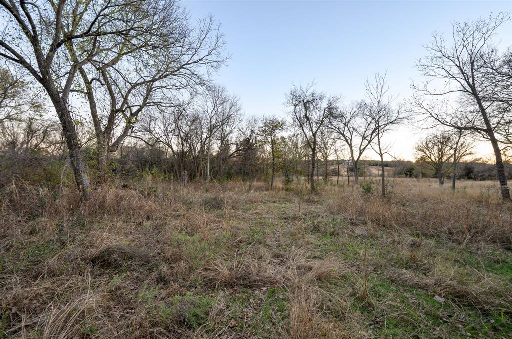 1874 County Road 3676 Springtown, TX 76082 - Photo 1 of 14 a view of outdoor space and trees