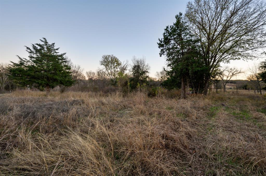 1874 County Road 3676 Springtown, TX 76082 - Photo 7 of 14 a view of a lush green forest with lots of trees