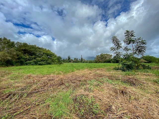 628 Puuopae Road Kapaa, HI 96746 - Photo 9 of 10 Gallery Image 9