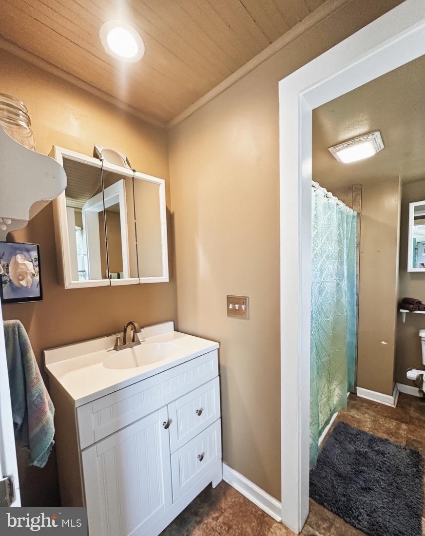 36 Martin Diggs Way Onemo, VA 23130 - Photo 3 of 64 a bathroom with a sink and a mirror