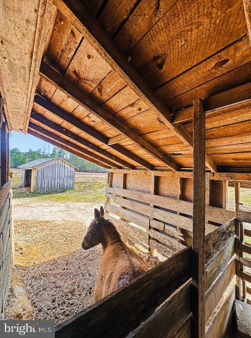 36 Martin Diggs Way Onemo, VA 23130 - Photo 48 of 64