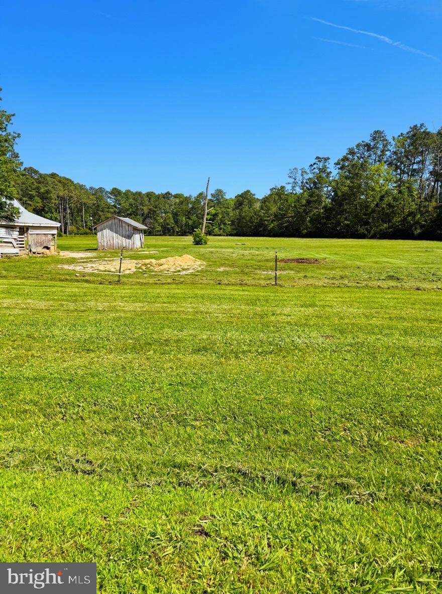 36 Martin Diggs Way Onemo, VA 23130 - Photo 60 of 64 a view of a field with an ocean view