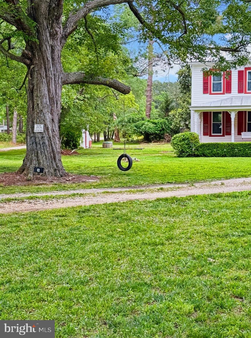 36 Martin Diggs Way Onemo, VA 23130 - Photo 63 of 64 a view of a house with a yard