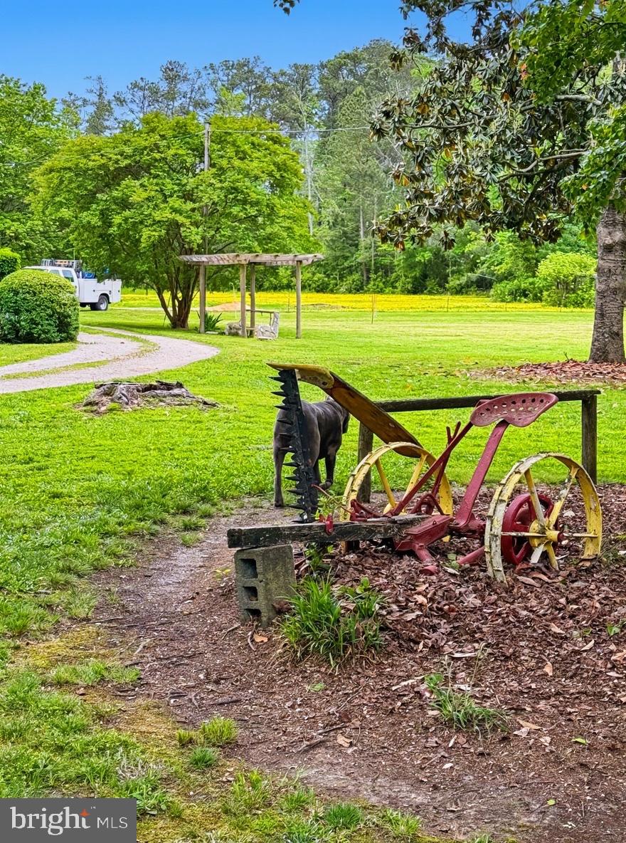 36 Martin Diggs Way Onemo, VA 23130 - Photo 64 of 64