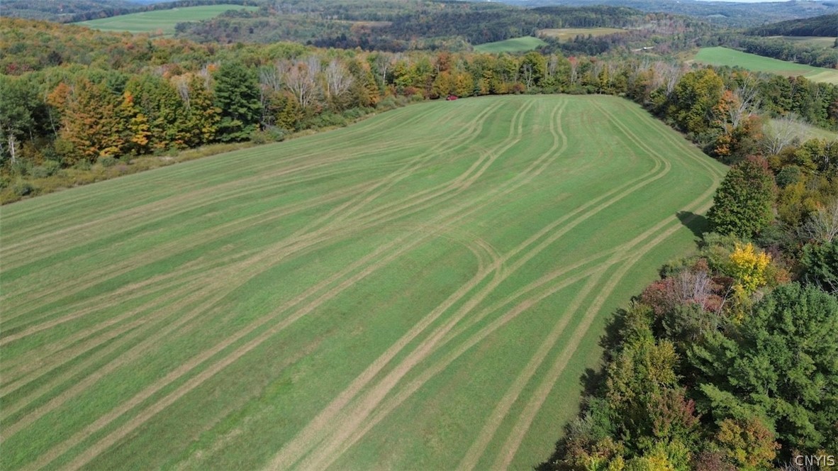 Learn Road Cameron Mills, NY 14820 - Photo 35 of 40 Gallery Image 35