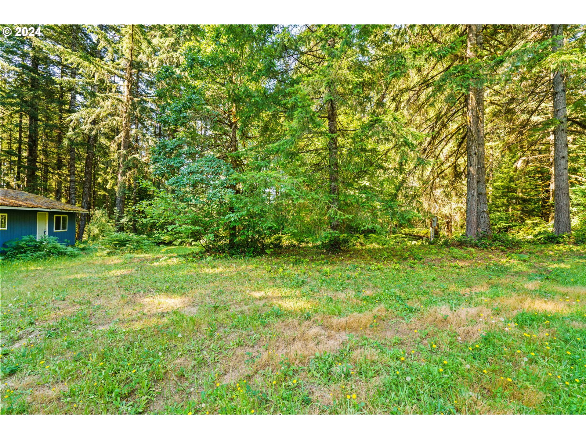 91131 Poodle Creek Road Noti, OR 97461 - Photo 11 of 20 Gallery Image 11