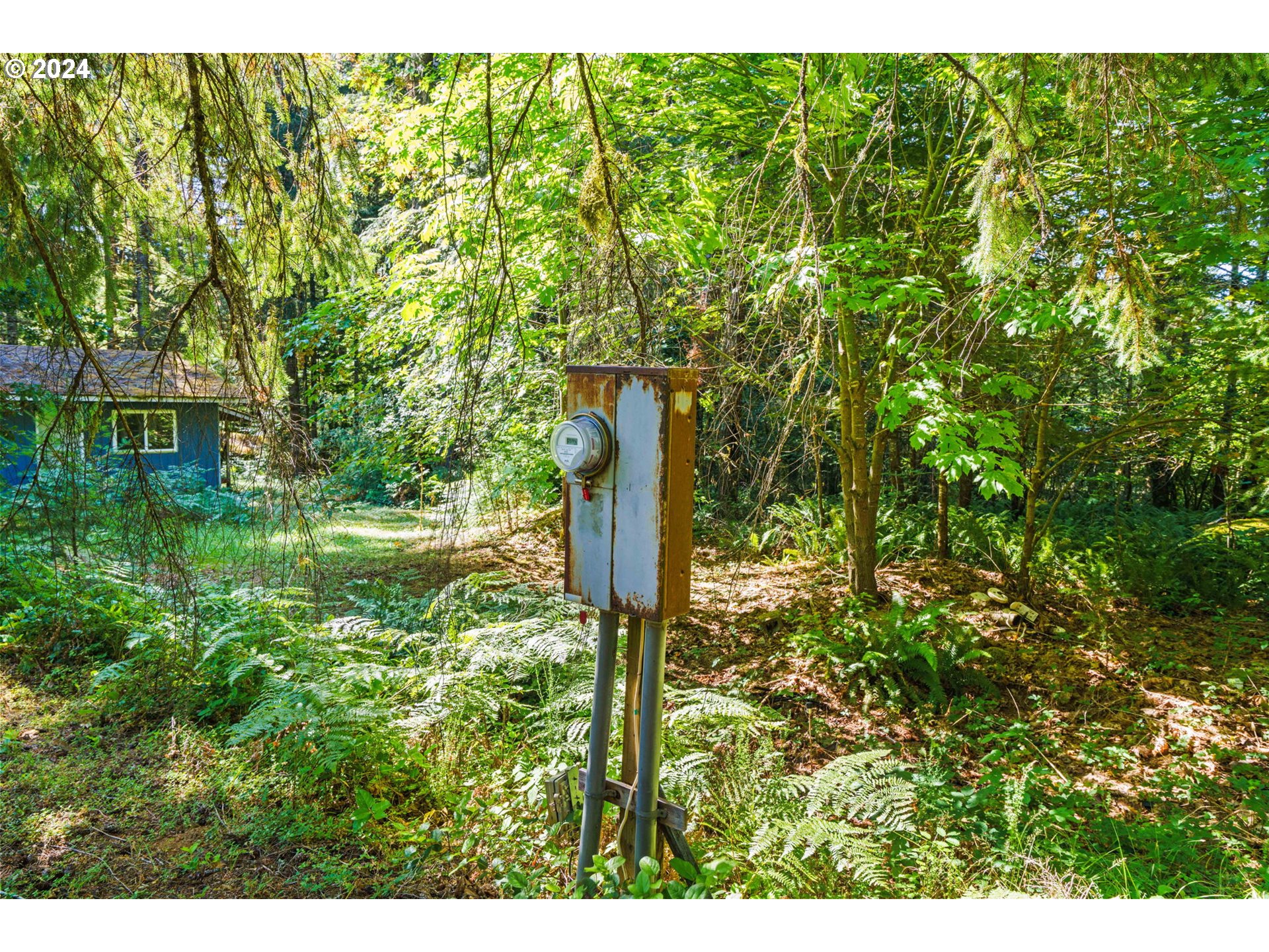 91131 Poodle Creek Road Noti, OR 97461 - Photo 12 of 20 Gallery Image 12