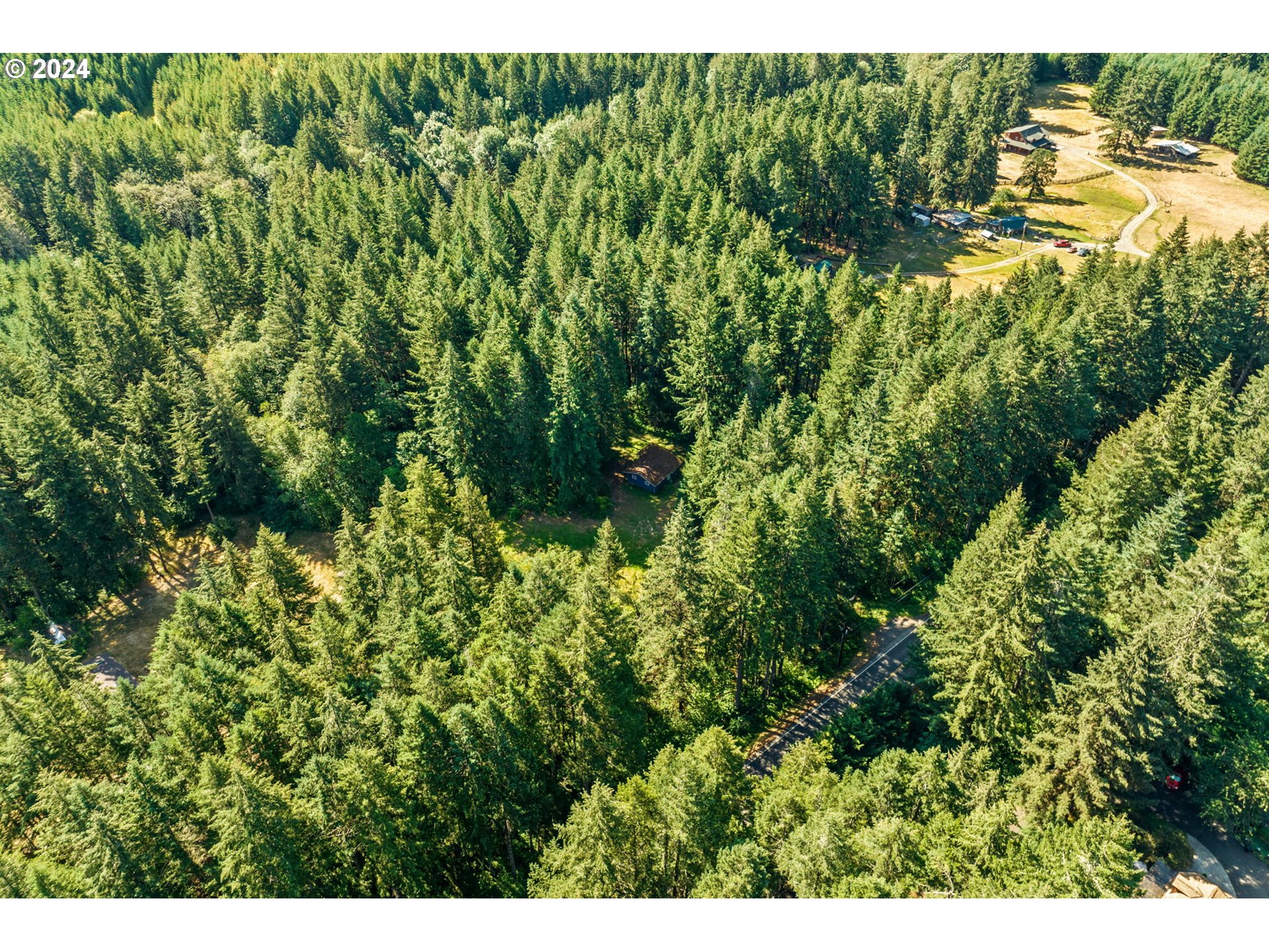 91131 Poodle Creek Road Noti, OR 97461 - Photo 15 of 20 Gallery Image 15