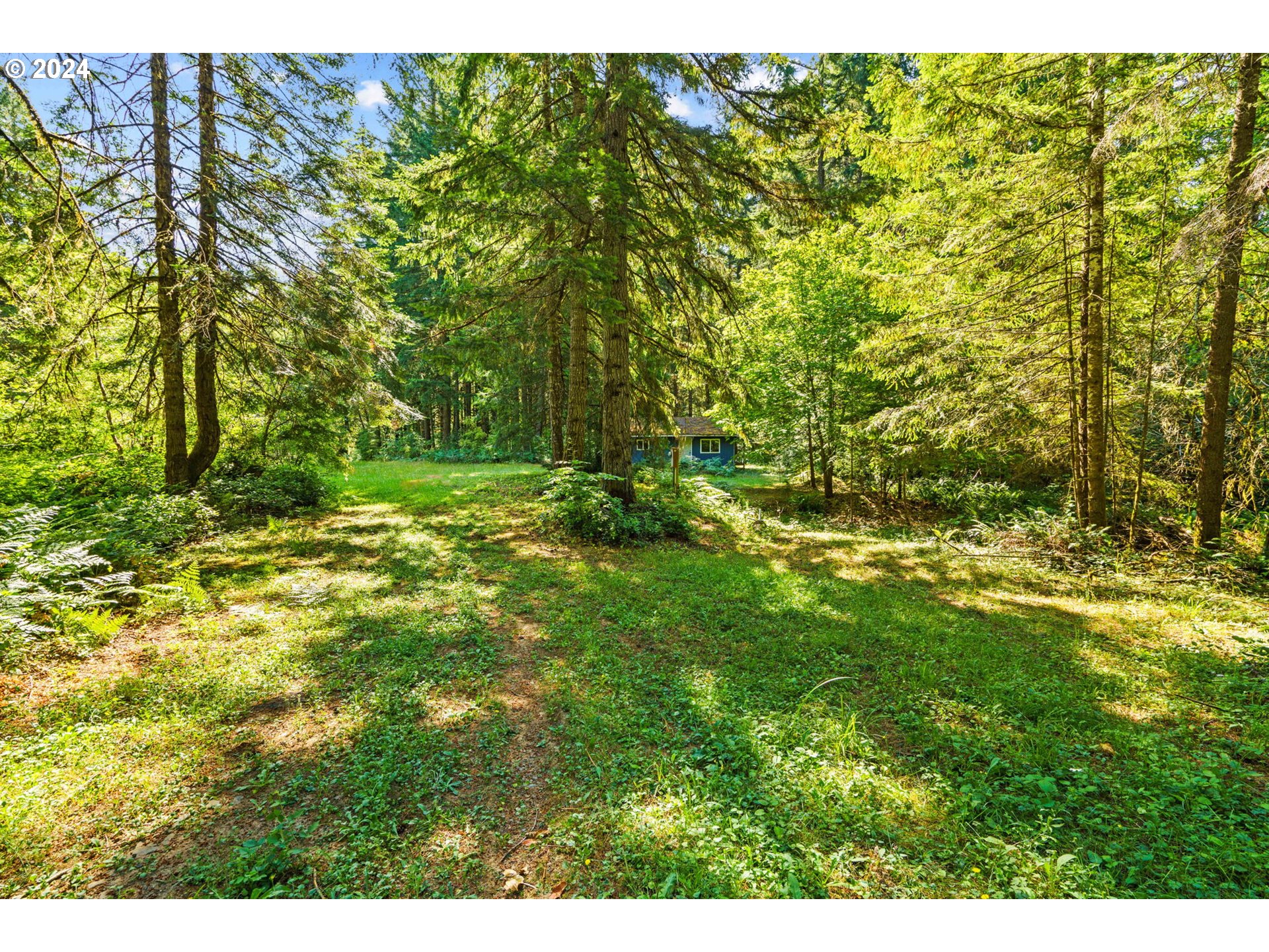 91131 Poodle Creek Road Noti, OR 97461 - Photo 2 of 20 Gallery Image 2