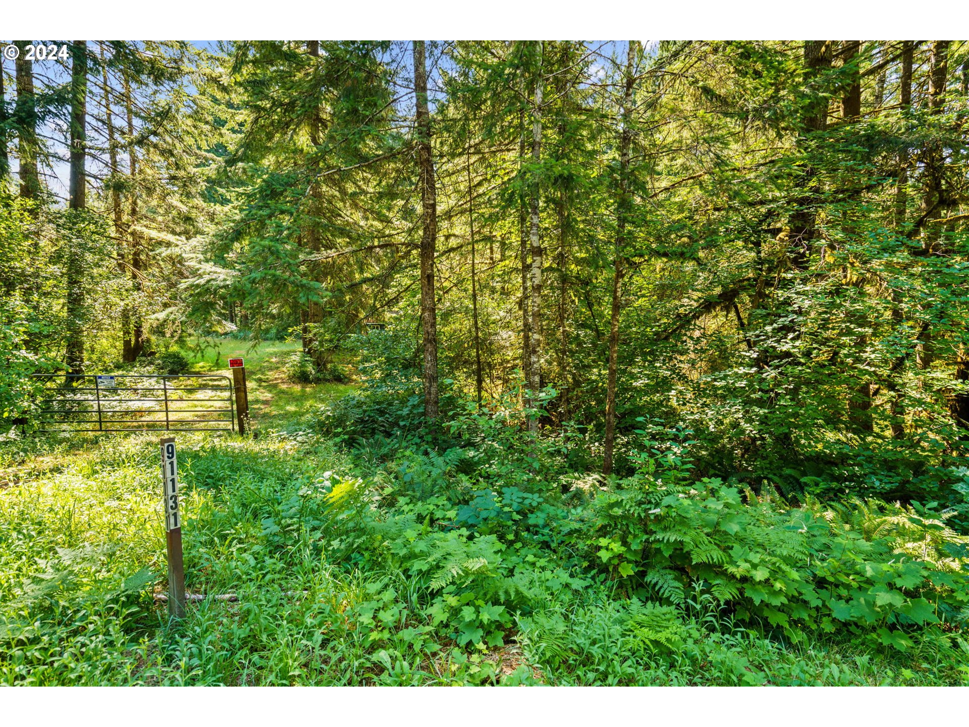 91131 Poodle Creek Road Noti, OR 97461 - Photo 4 of 20 Gallery Image 4