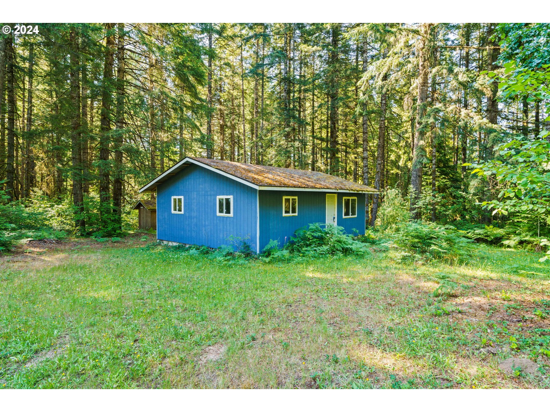 91131 Poodle Creek Road Noti, OR 97461 - Photo 5 of 20 Gallery Image 5