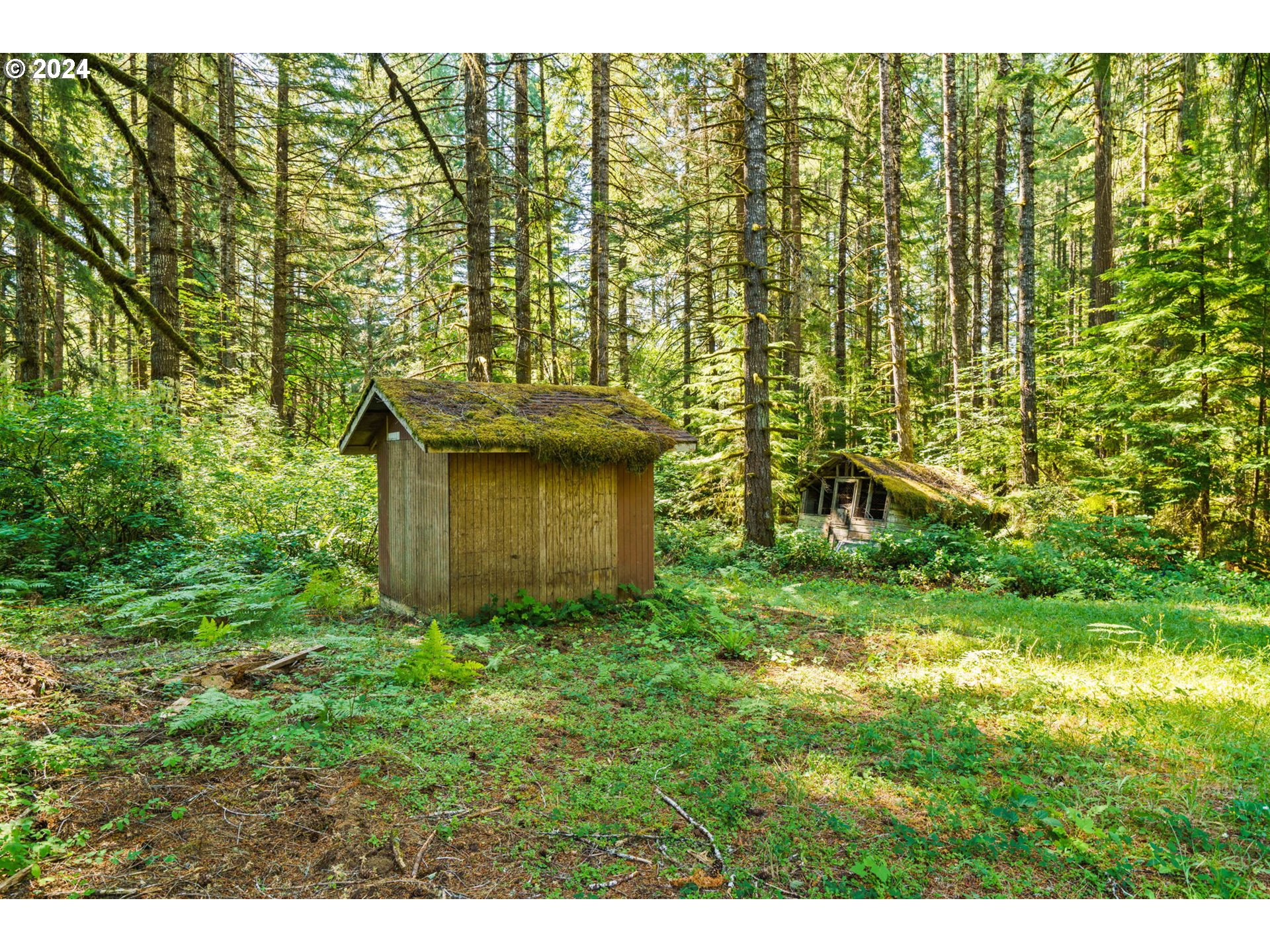 91131 Poodle Creek Road Noti, OR 97461 - Photo 7 of 20 Gallery Image 7