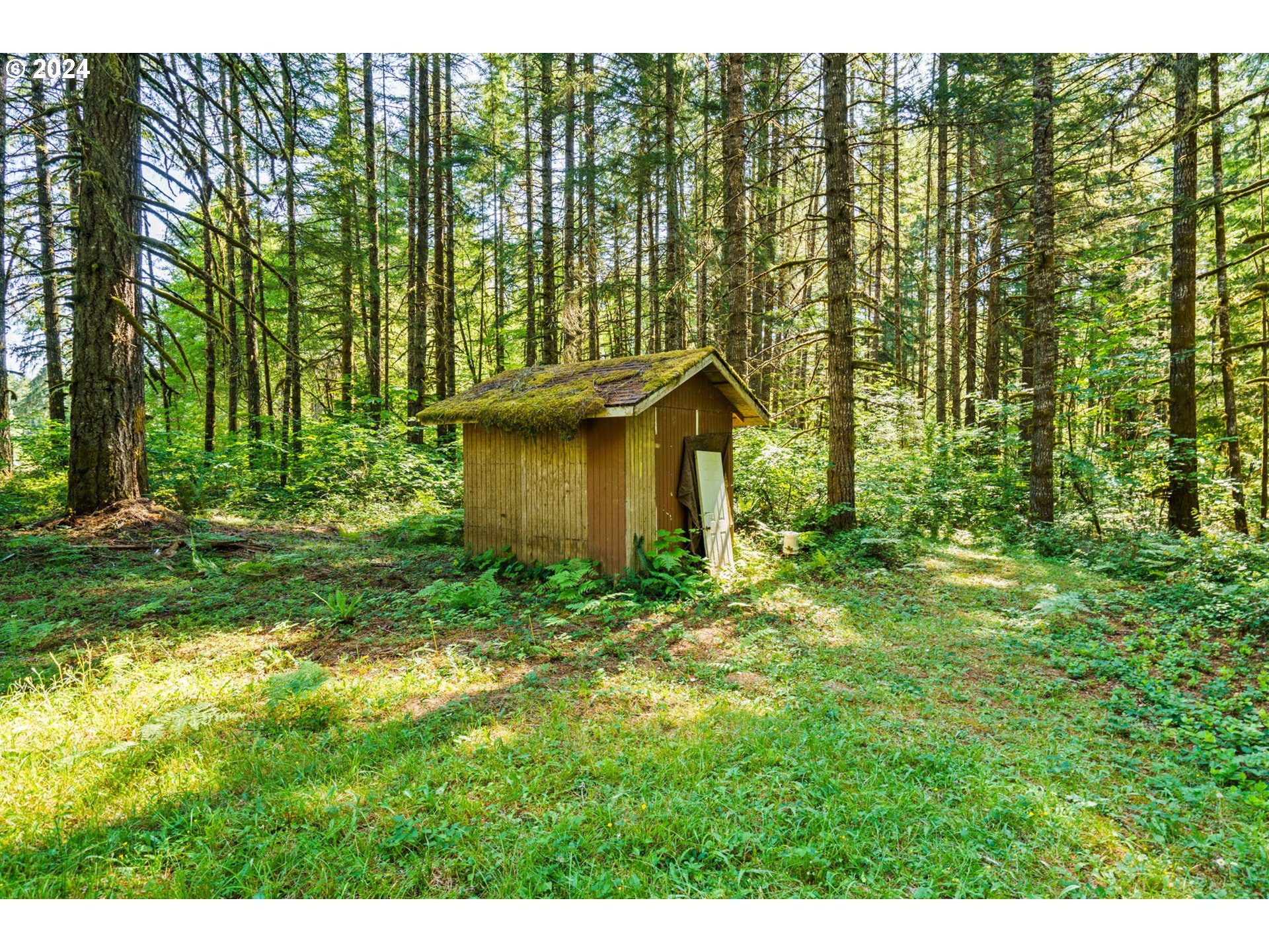91131 Poodle Creek Road Noti, OR 97461 - Photo 8 of 20 Gallery Image 8