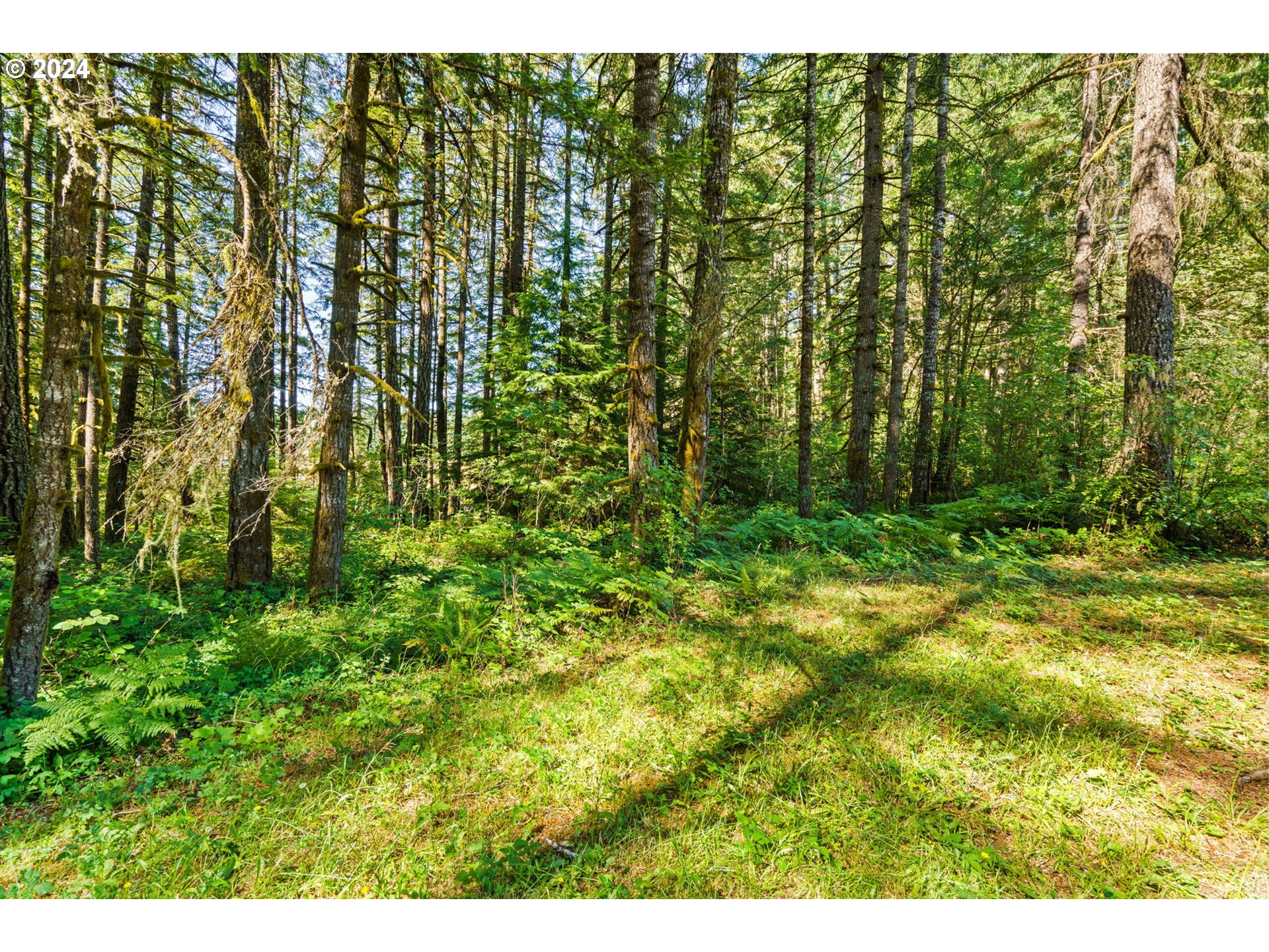 91131 Poodle Creek Road Noti, OR 97461 - Photo 9 of 20 Gallery Image 9