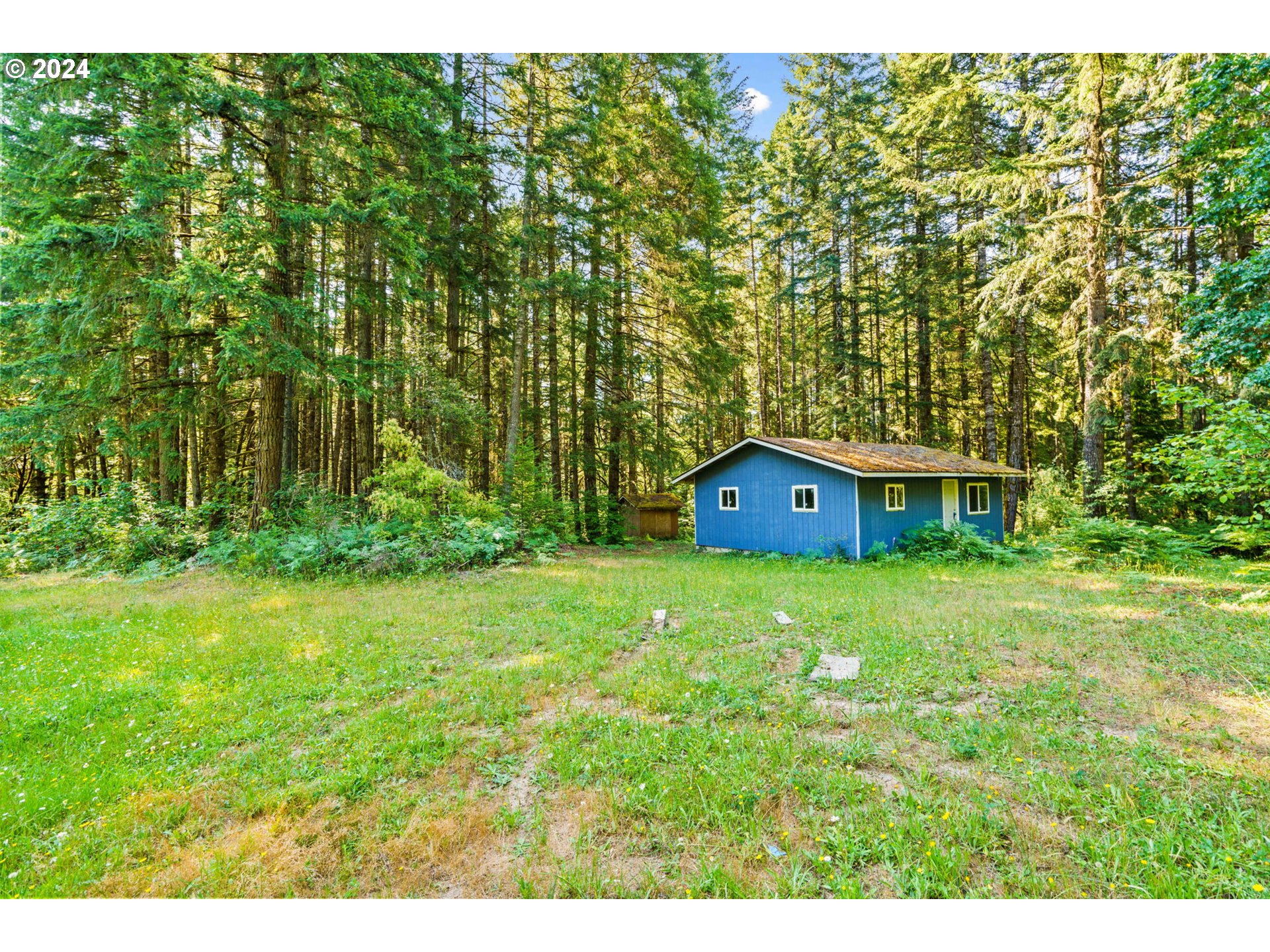 91131 Poodle Creek Road Noti, OR 97461 - Photo 10 of 20 Gallery Image 10
