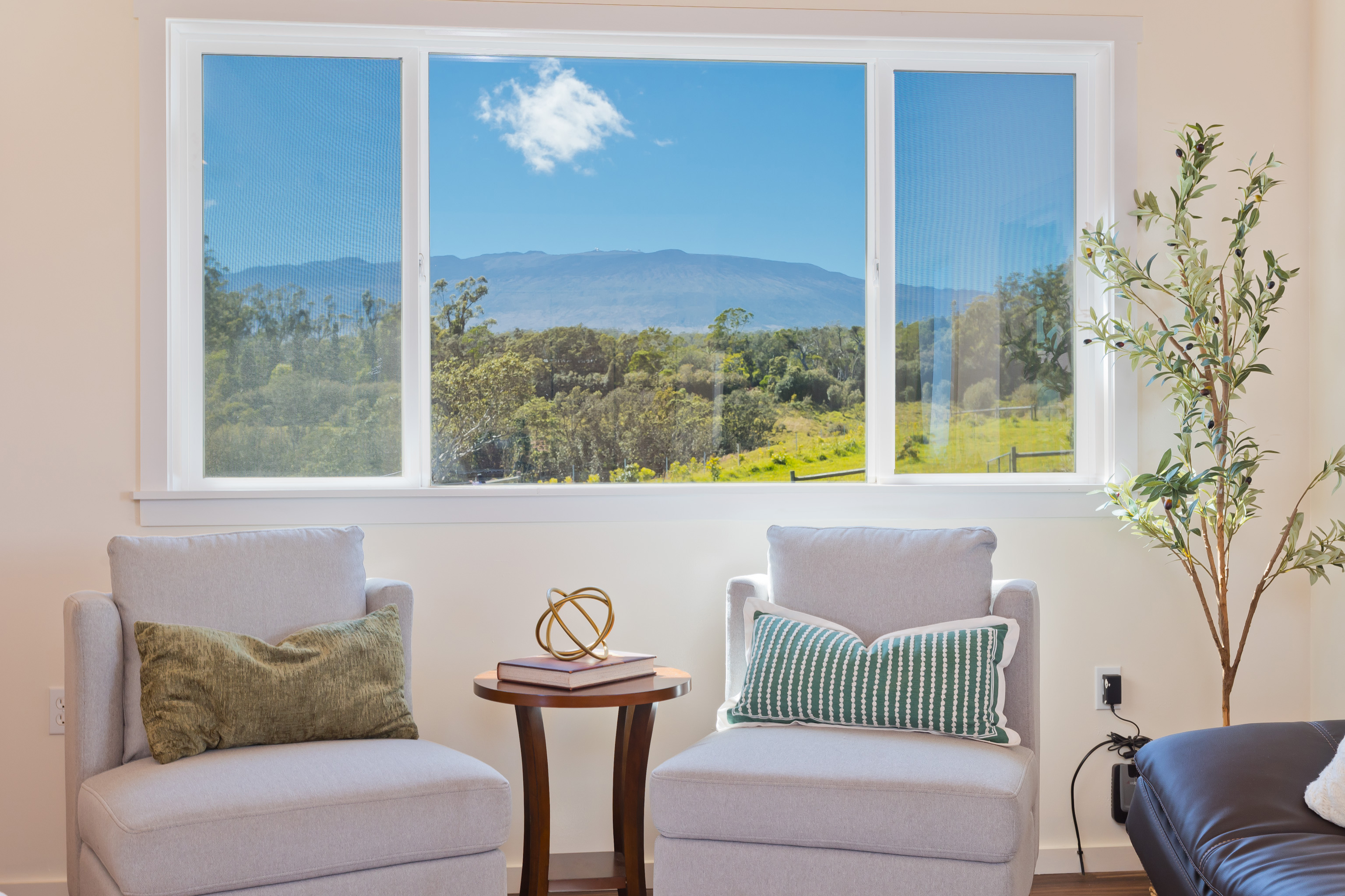 a couch sitting in front of a window with garden view