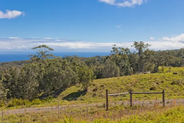 a view of an outdoor space with yard