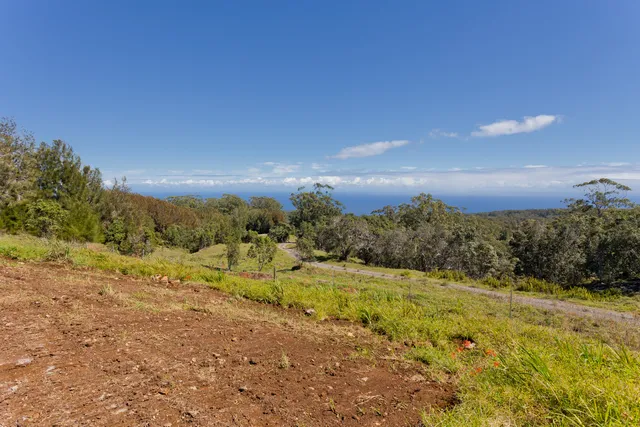 a view of a yard with an outdoor space