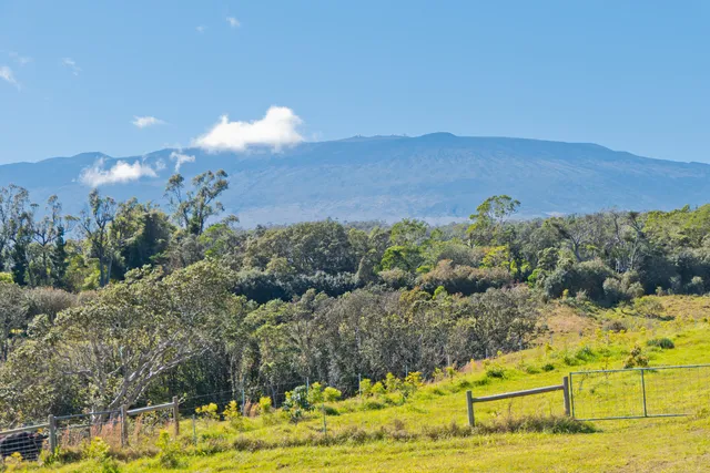 a view of a houses with a yard