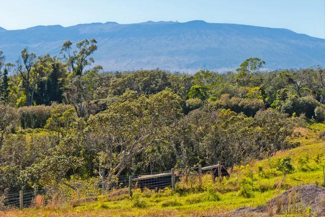 a view of an swimming pool with an outdoor space and seating area