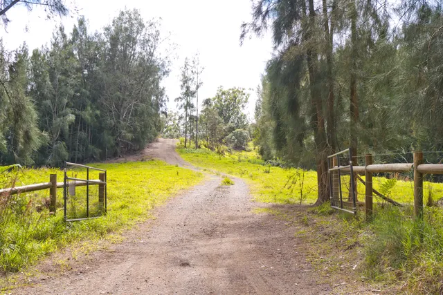 a view of a yard with swimming pool