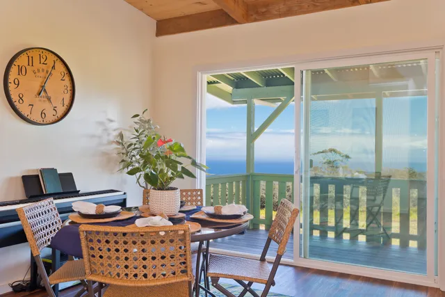 a dining room with furniture a potted plant and a rug