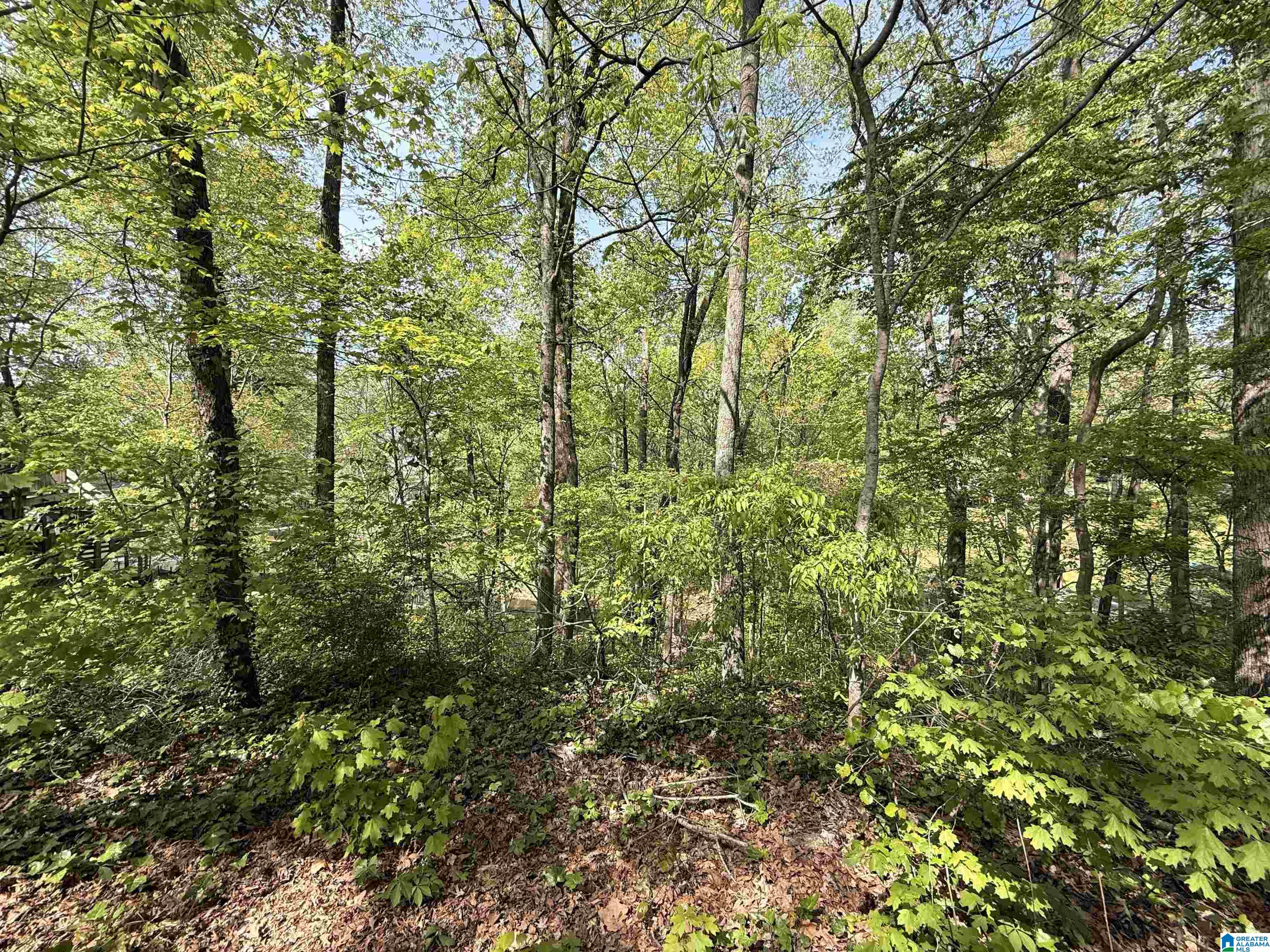 4 Dogwood Road, Unit 4 Lexington, AL 35648 - Photo 3 of 9