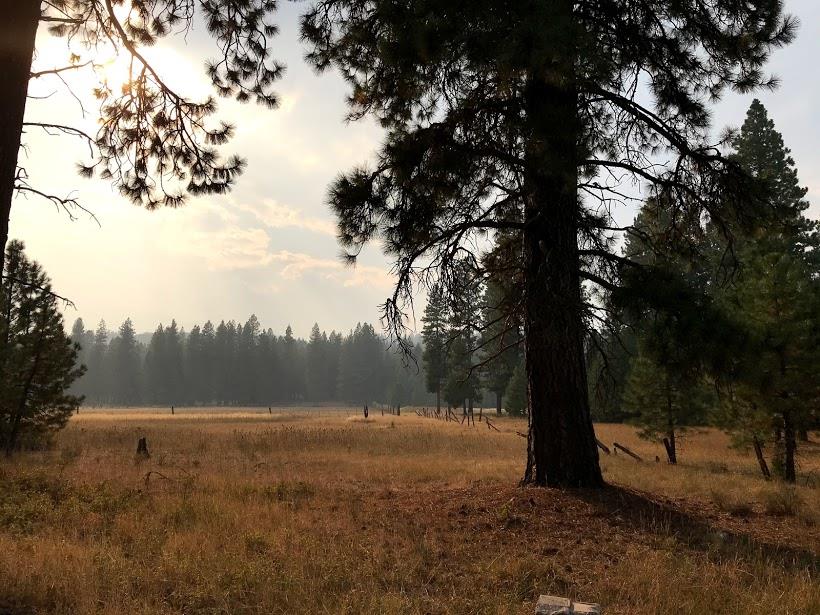 Lot 38 Sugarpine Road Weed, CA 96094 - Photo 1 of 8 Gallery Image 1