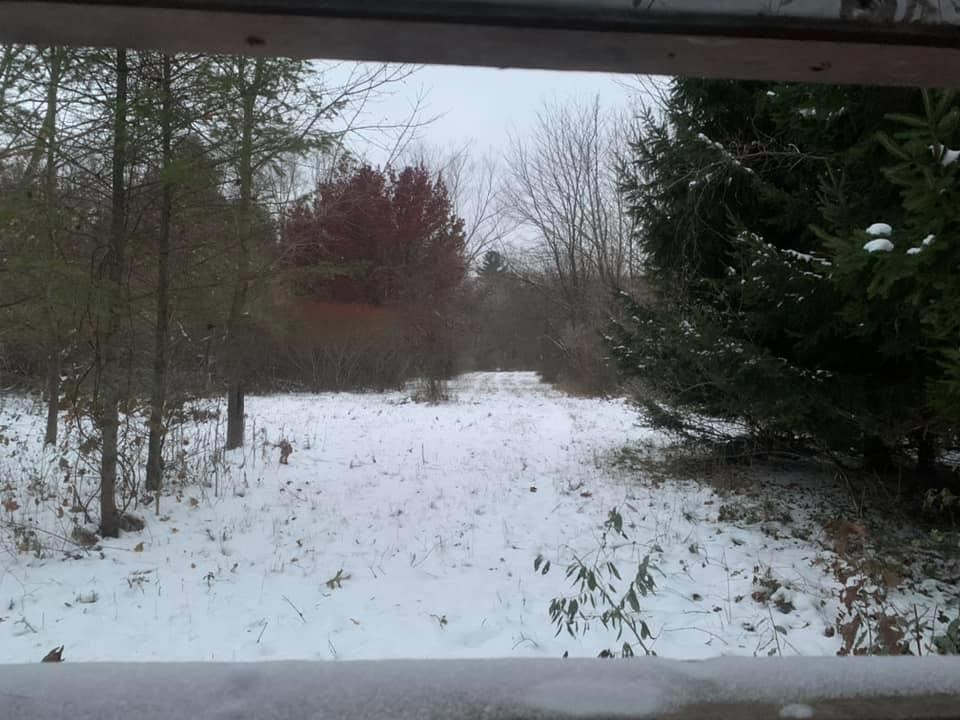 11635 Gates Road Riverdale, MI 48877 - Photo 32 of 37 1893627-31.JPG