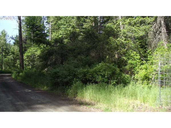 $60,000 | River Canyon Road, Imnaha, OR 97842
