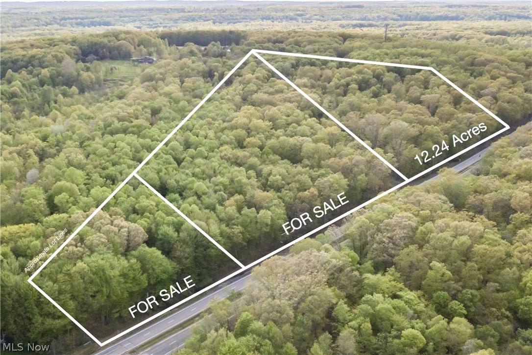 Lot 3 Main Market Road Garrettsville, OH 44231 - Photo 4 of 5 Gallery Image 4
