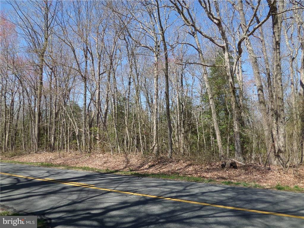 Lot 1 Ponder Road Ellendale, DE 19941 - Photo 1 of 16 Gallery Image 1