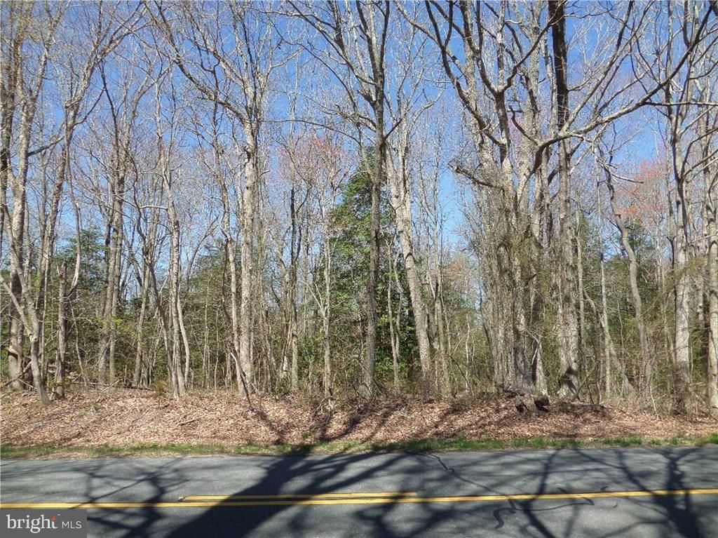 Lot 1 Ponder Road Ellendale, DE 19941 - Photo 2 of 16 Gallery Image 2