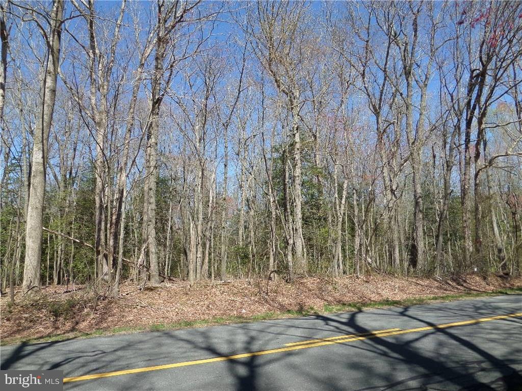Lot 1 Ponder Road Ellendale, DE 19941 - Photo 3 of 16 Gallery Image 3