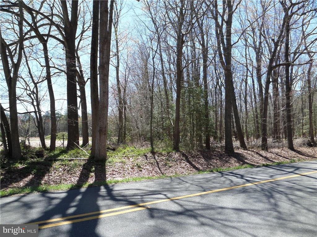 Lot 1 Ponder Road Ellendale, DE 19941 - Photo 4 of 16 Gallery Image 4
