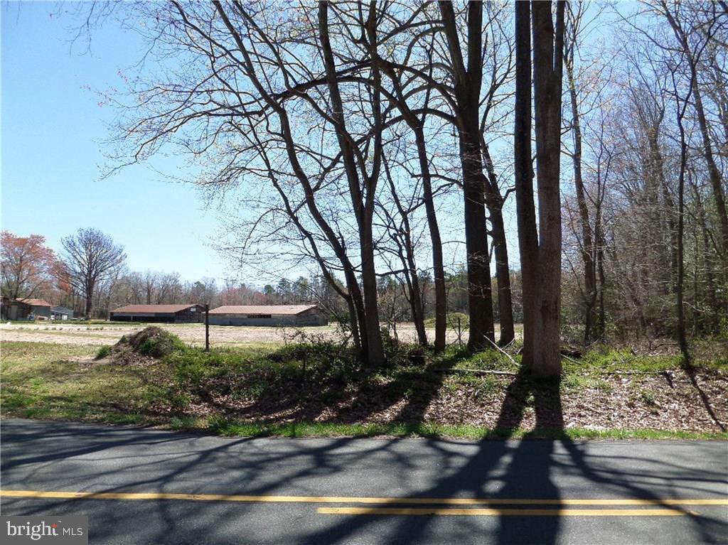 Lot 1 Ponder Road Ellendale, DE 19941 - Photo 5 of 16 Gallery Image 5