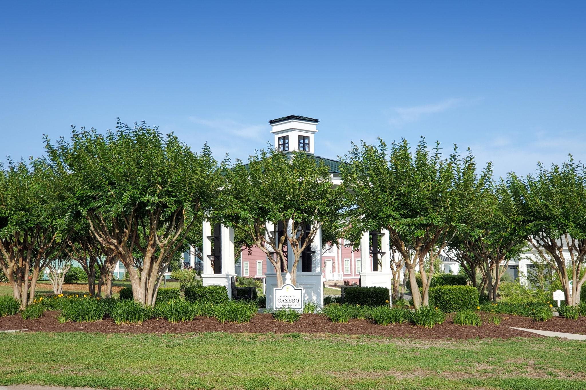 1008 Tarpon Pond Road North Myrtle Beach, SC 29582 - Photo 15 of 29 Gallery Image 15