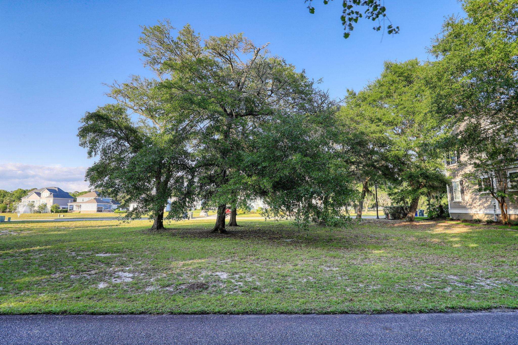 1008 Tarpon Pond Road North Myrtle Beach, SC 29582 - Photo 9 of 29 Gallery Image 9