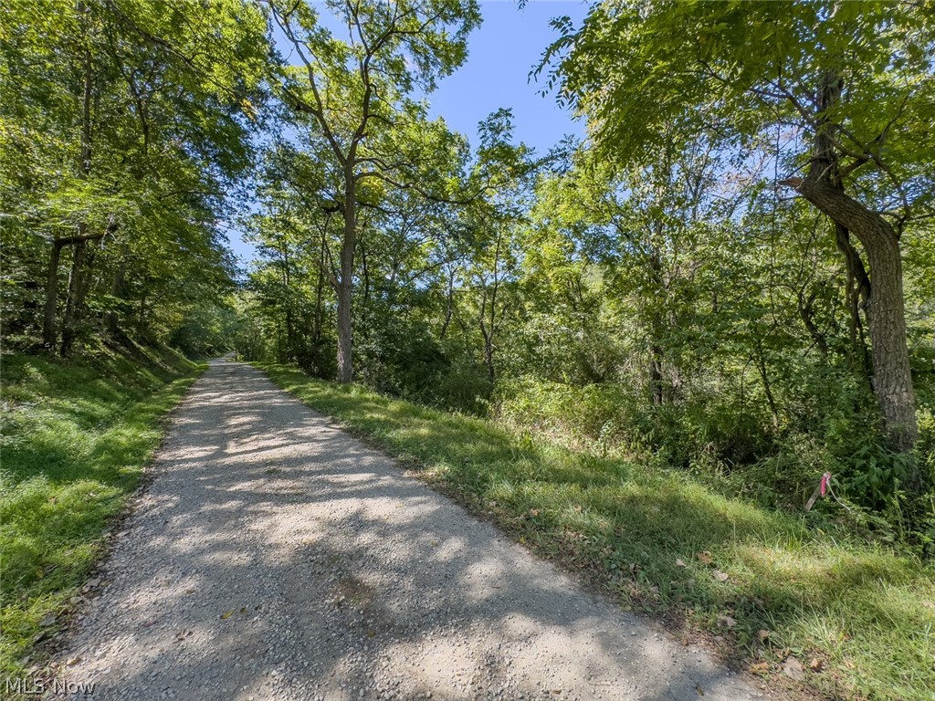0 Brewer Road Cadiz, OH 43907 - Photo 34 of 37 View of street featuring a wooded view