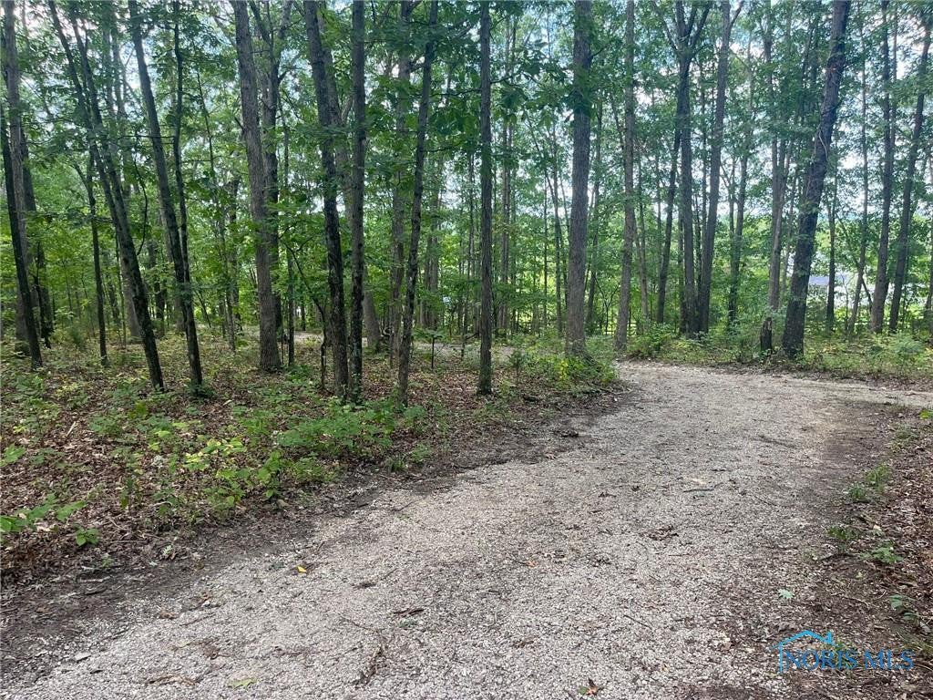 795 Bailey Road Peebles, OH 45660 - Photo 12 of 17 Gallery Image 12