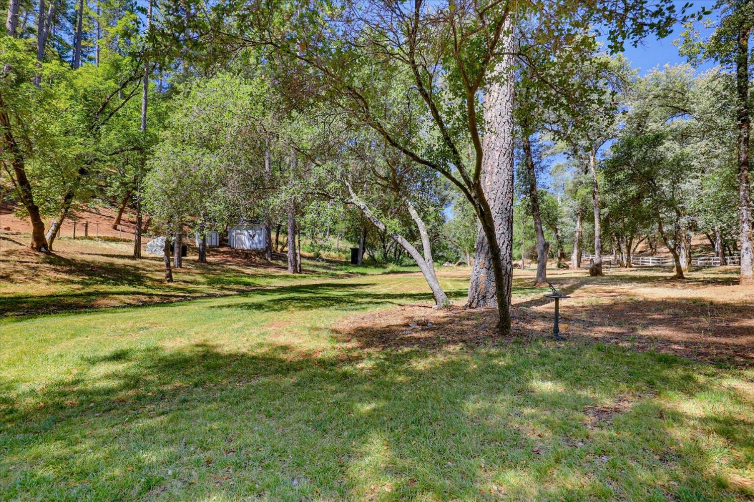 19407 Tiger Tail Road Grass Valley, CA 95949 - Photo 60 of 93