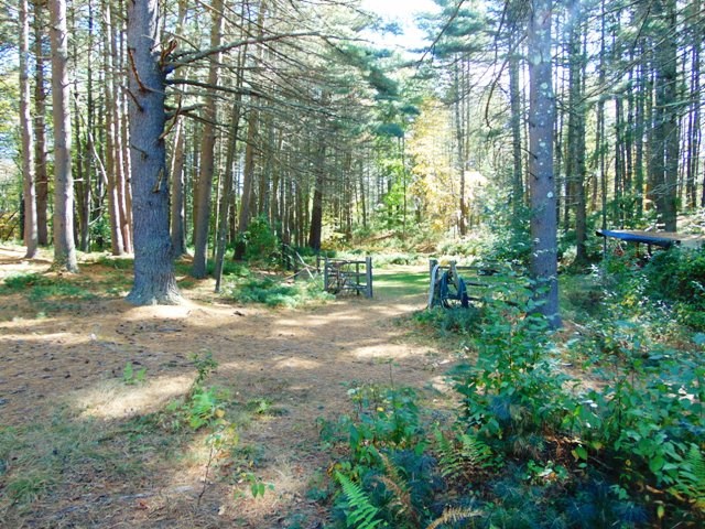 810 Snake Hill Road Burrillville, RI 02830 - Photo 23 of 40