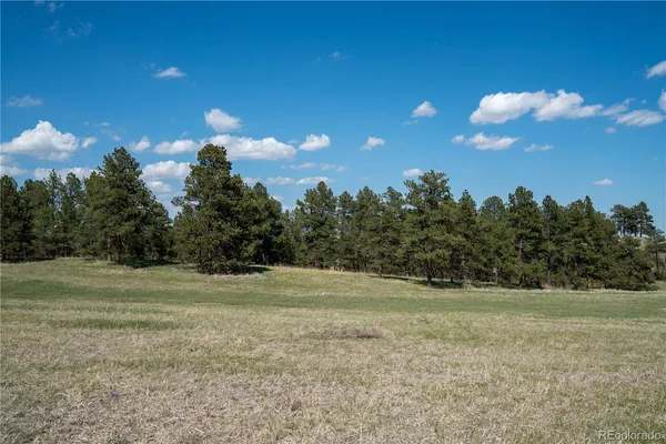 a view of grassy field with trees