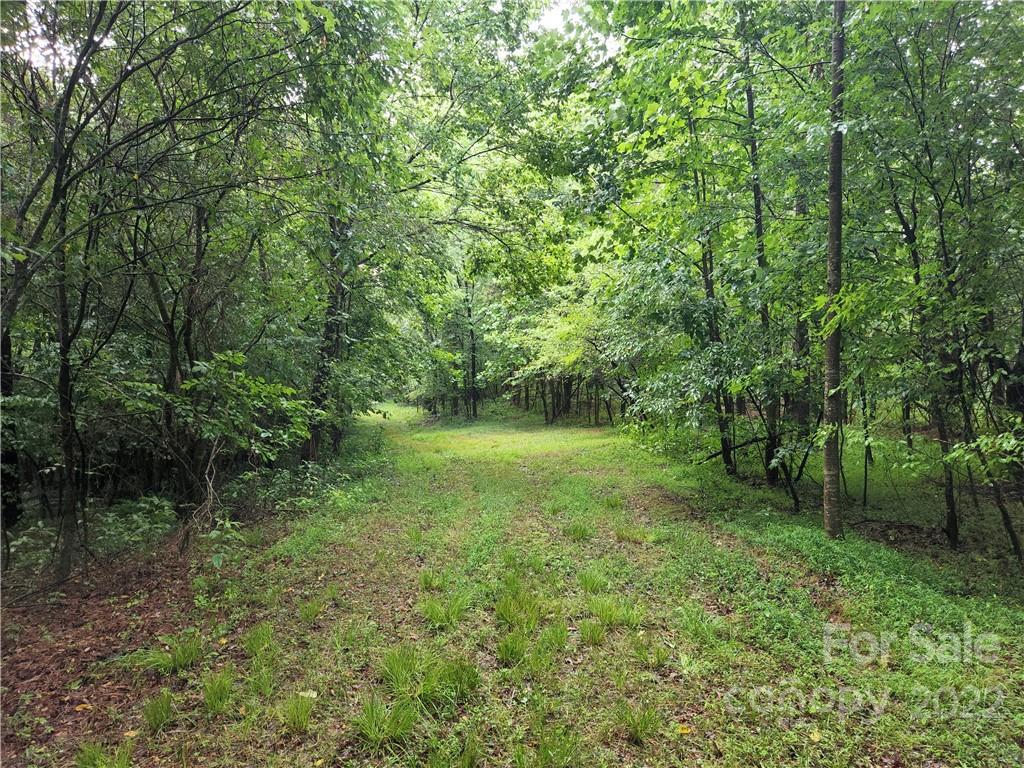4700 Delight Road Lawndale, NC 28090 - Photo 3 of 28 Gallery Image 3