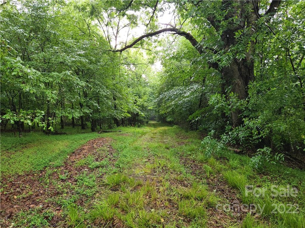 4700 Delight Road Lawndale, NC 28090 - Photo 8 of 28 Gallery Image 8